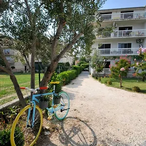 Olive , Trogir Chorwacja